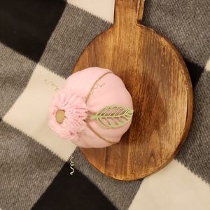 Beautiful baby autumn pumpkin.